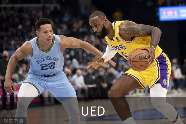 UED公司简介图片